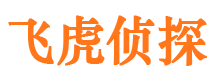 阿里侦探